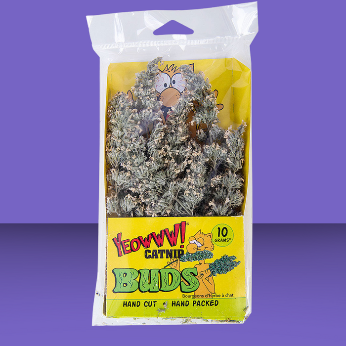 Yeowww! Catnip Buds 10g
