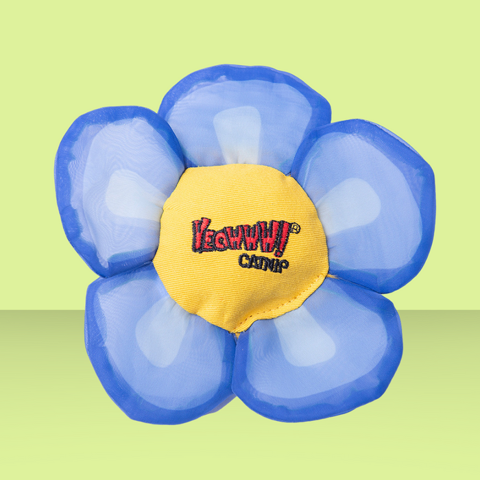 Yeowww! Daisy Flower Top Blue