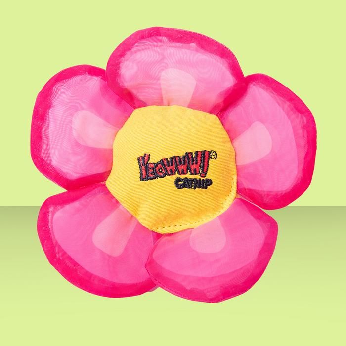 Yeowww! Daisy Flower Top Pink