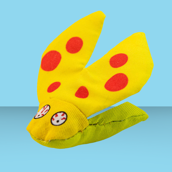 Yeowww! Ladybug