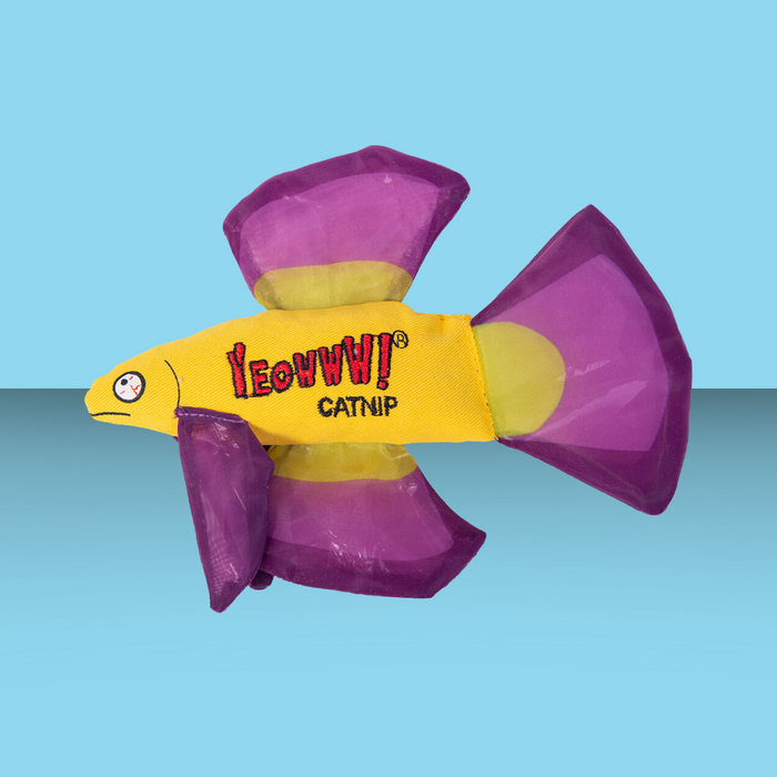 Purple Betta