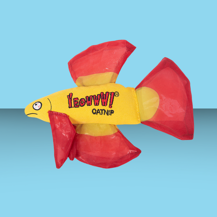 Yeowww! Mo Betta Fish Red
