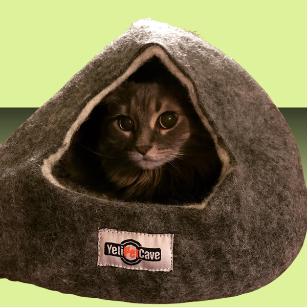 Yeti Pet Cave Grey