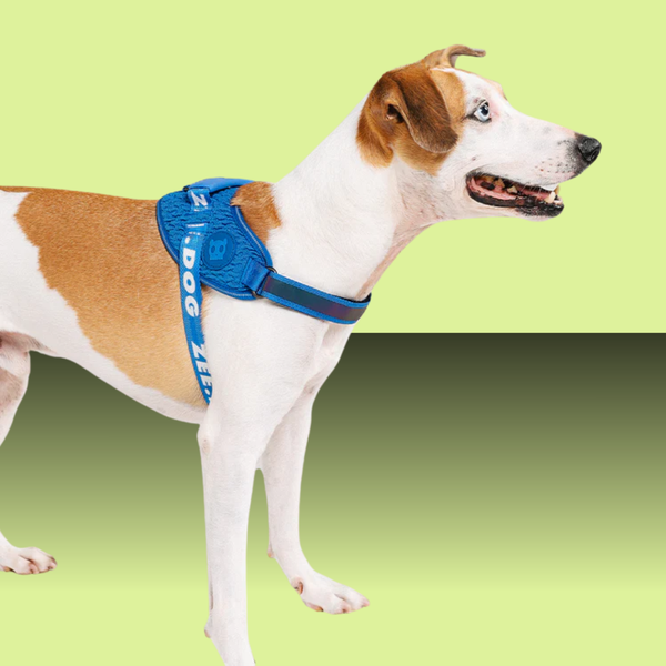 Zee.Dog Fly Harness Slam Dunk Size 4