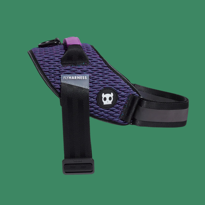 Zee.Dog Fly Harness Wicked Size 1