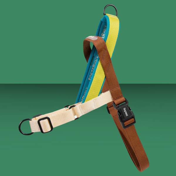 Zee.Dog Softer Walk Harness Avocado M