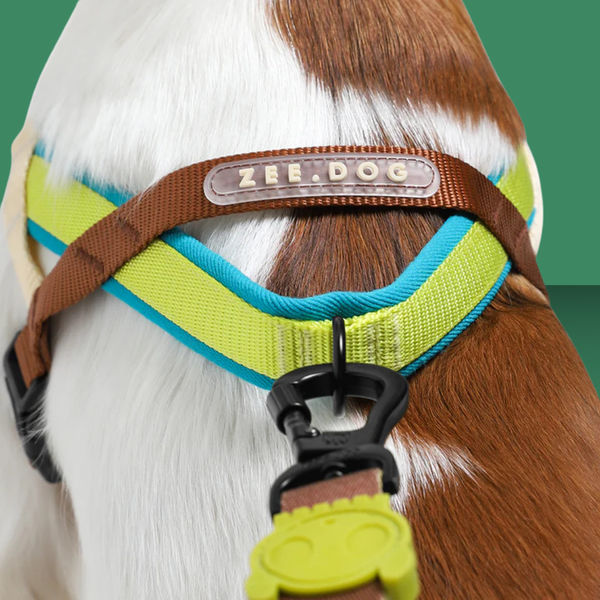 Zee.Dog Softer Walk Harness Avocado M