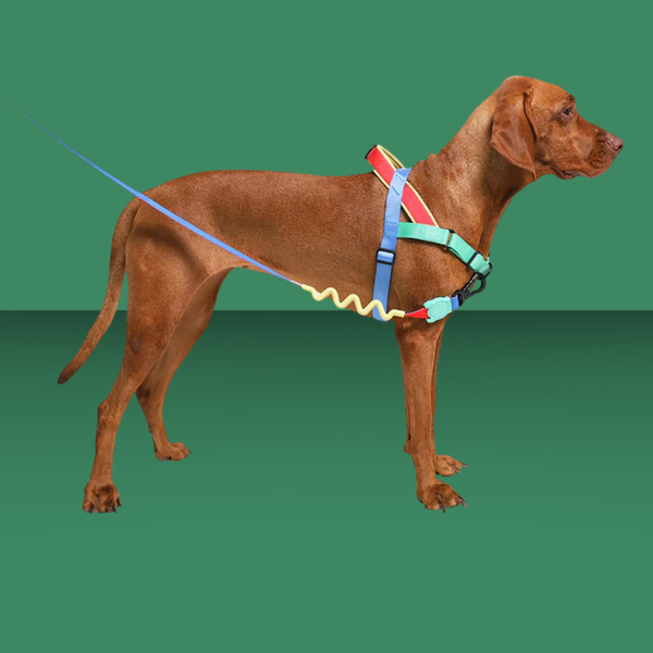 Zee.Dog Softer Walk Harness Mellow L