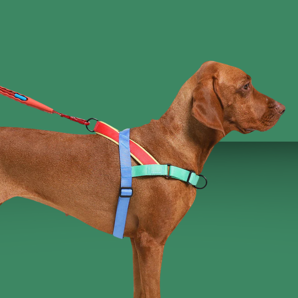 Zee.Dog Softer Walk Harness Mellow M