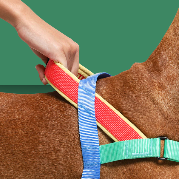 Zee.Dog Softer Walk Harness Mellow M