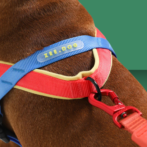Zee.Dog Softer Walk Harness Mellow M