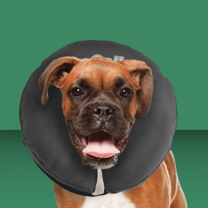ZenPet Zen Collar Gray L