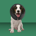 ZenPet Zen Collar Gray S
