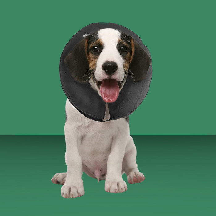 ZenPet Zen Collar Gray S