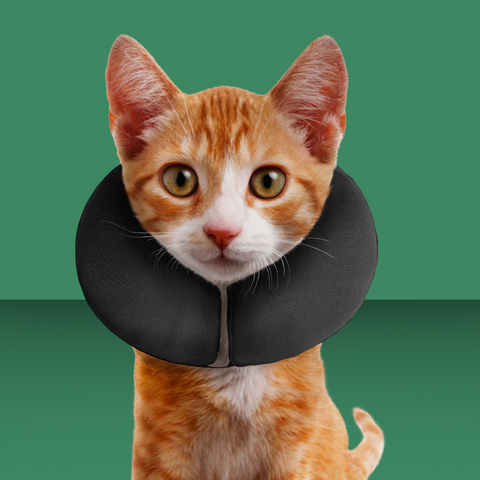 ZenPet Zen Collar Gray XS