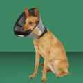 ZenPet Zen Cone Gray L