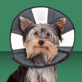 ZenPet Zen Cone Gray S