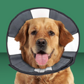 ZenPet Zen Cone Gray XL