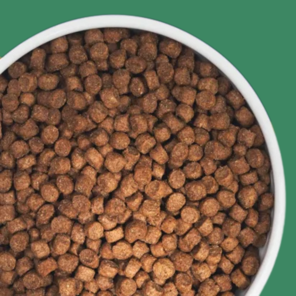 Zignature Lamb Small Bites 4#