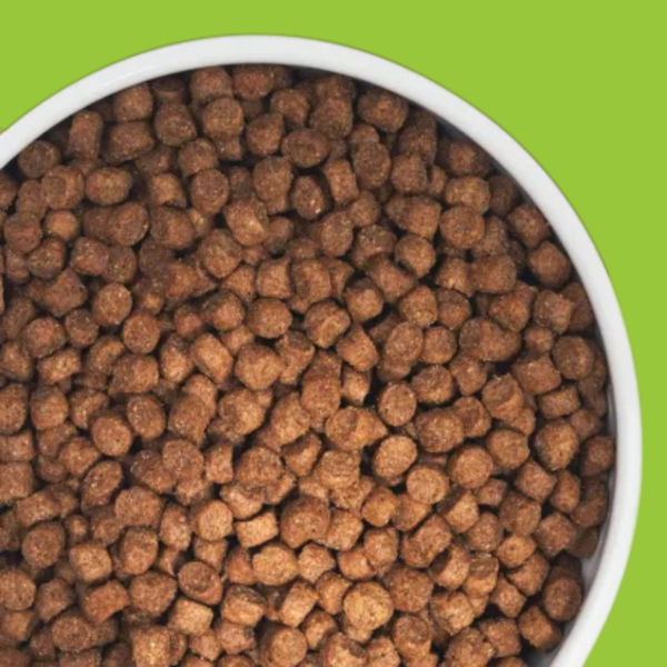 Zignature Trout & Salmon Small Bites 4#