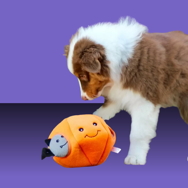Zippy Paws Halloween Burrow Pumpkin